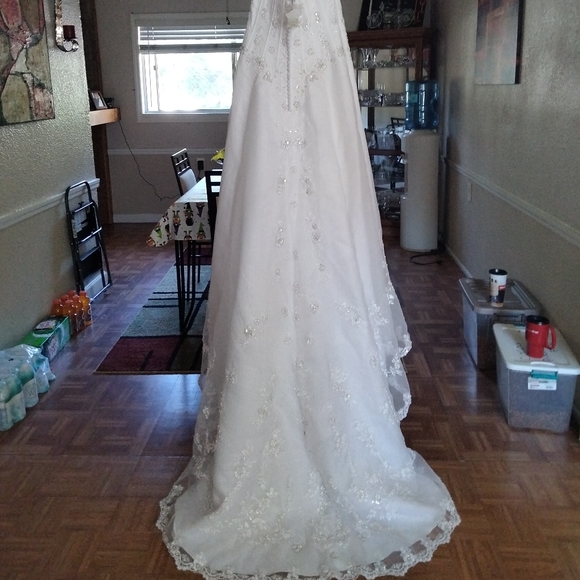 David's Bridal wedding dress - Picture 1 of 4